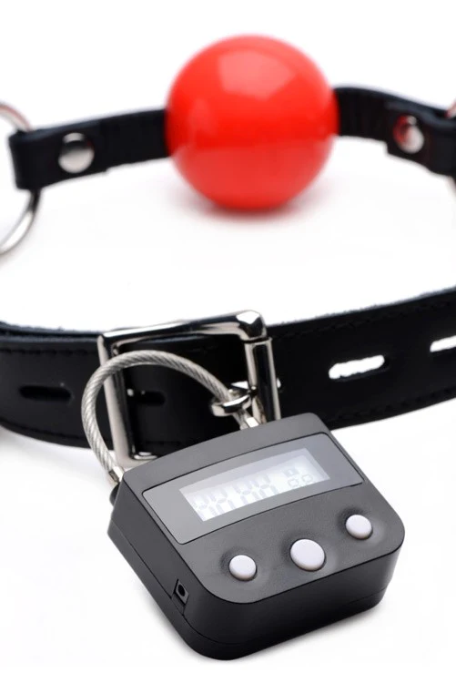 The Bondage Time Lock - Image 3