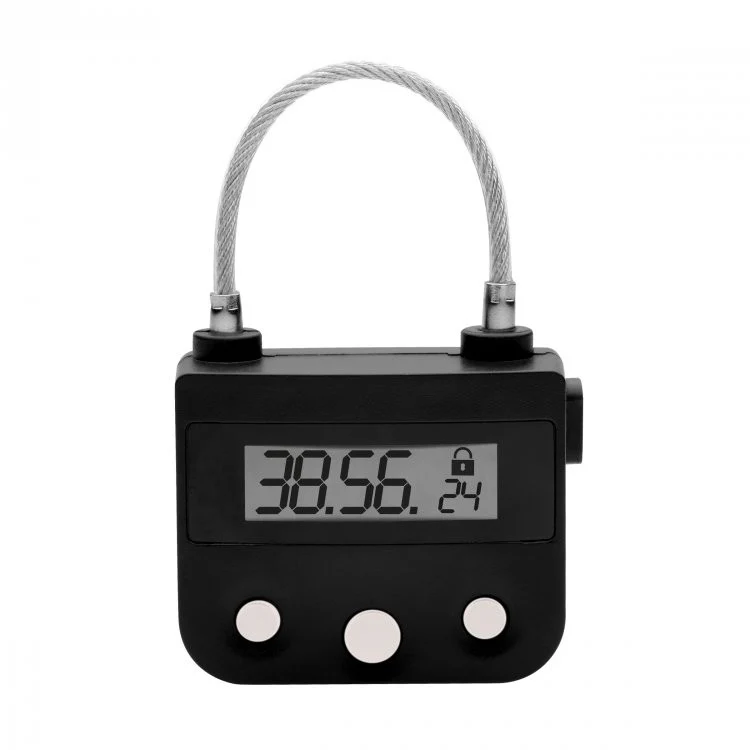 The Chastity Time Lock - Image 3
