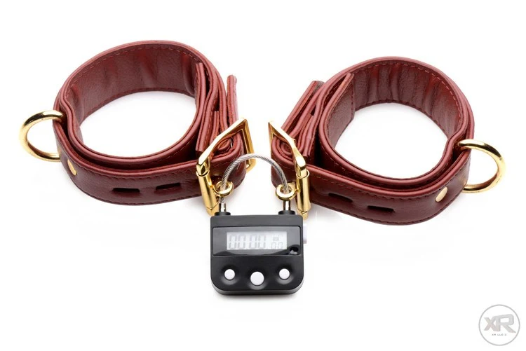 The Chastity Time Lock - Image 5