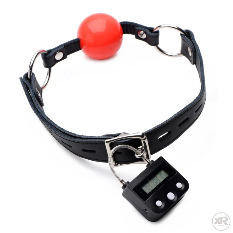 The Chastity Time Lock - Image 6
