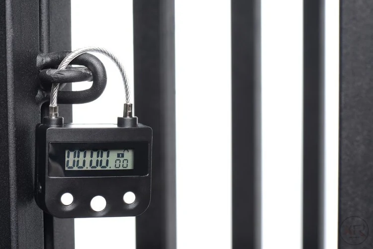 The Chastity Time Lock - Image 7