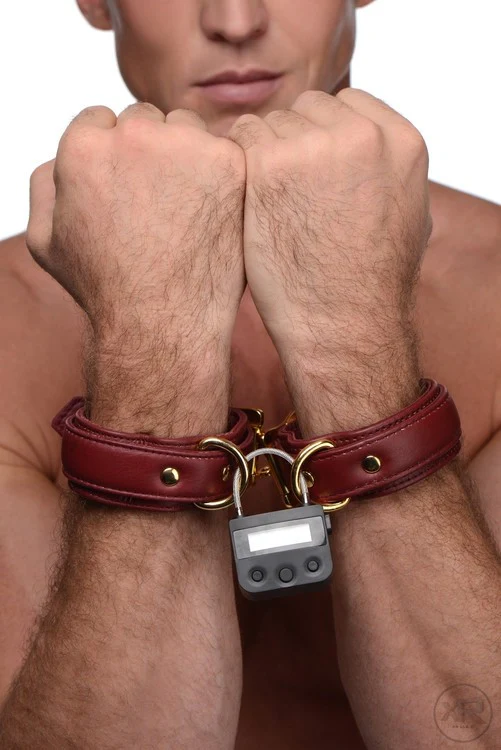 The Chastity Time Lock - Image 8