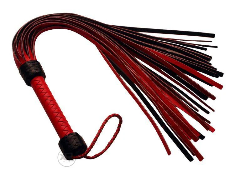 The Heavy Tail Flogger - Image 3