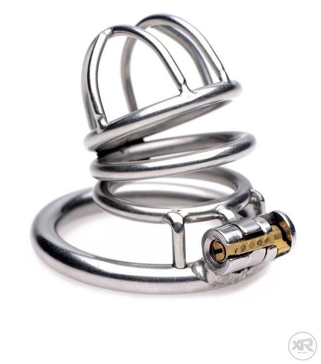 The Pen Deluxe Stainless Steel Locking Chastity Cage - Image 2