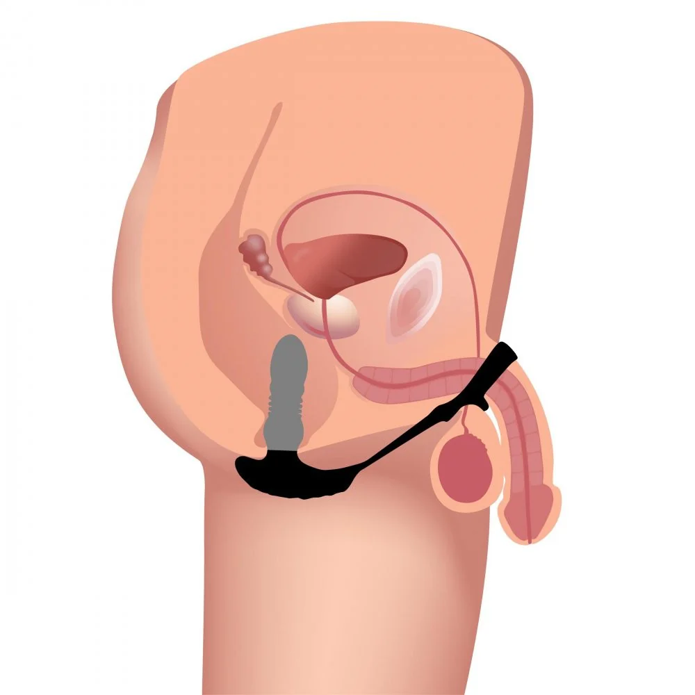 Thrusting Vibrator with Cock and Ball Ring and Remote - Image 4