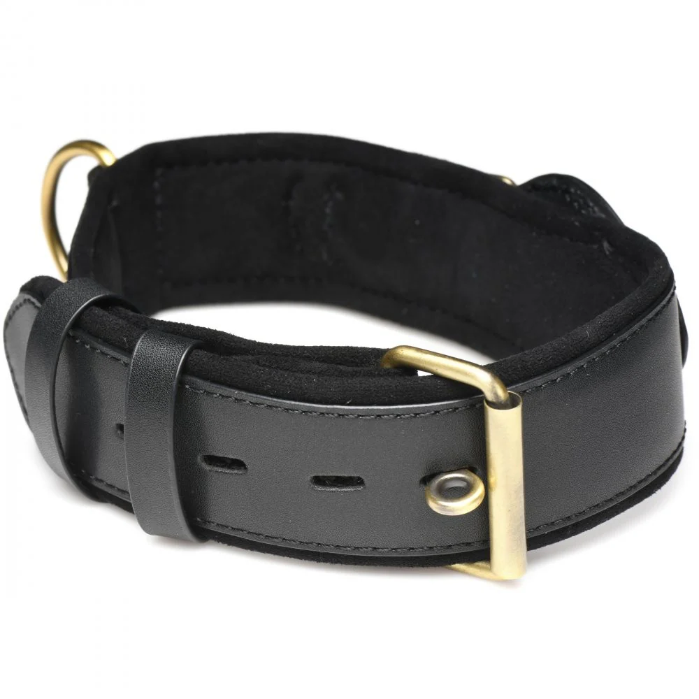 Tracer Tracking Collar - Image 7