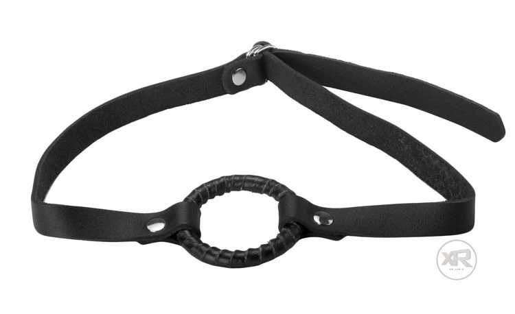 Unrestricted Access Spreader Bar Kit with Ring Gag - Image 2